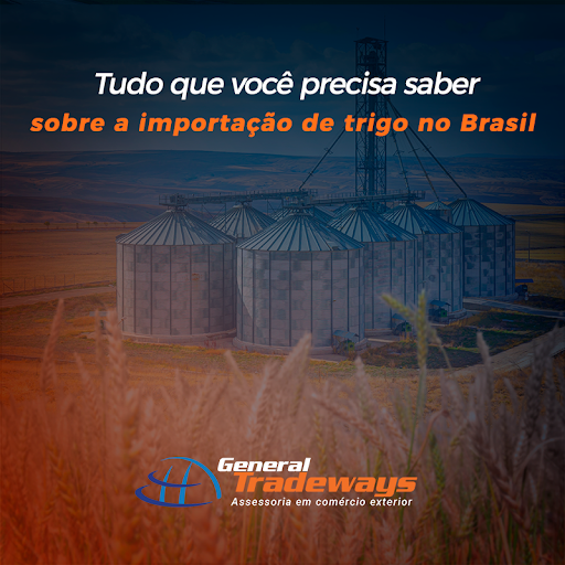 Tudo que você precisa saber sobre a importação de trigo no Brasil